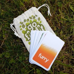 gofindit – outdoor nature treasure hunt card game for families